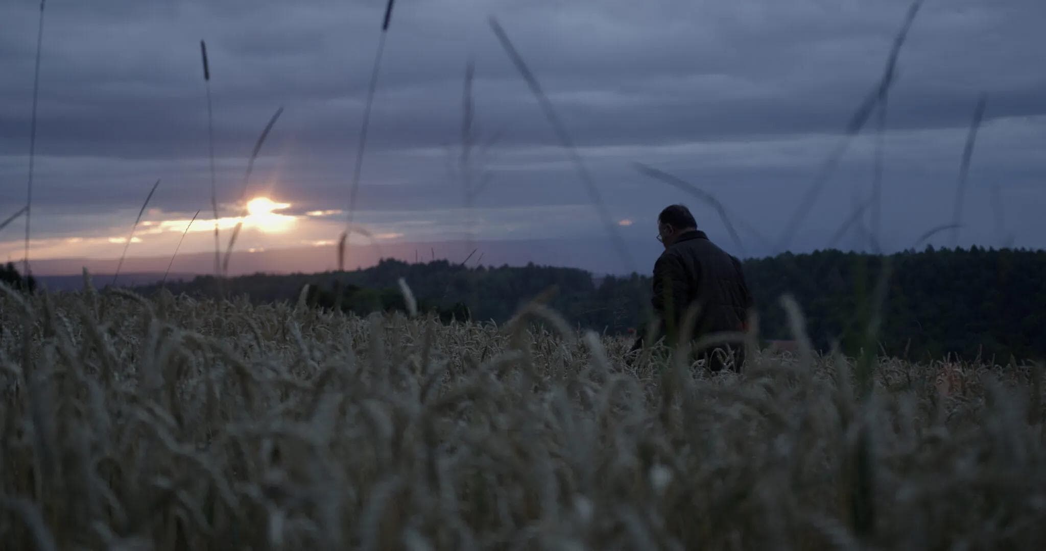 farmer early in the morning